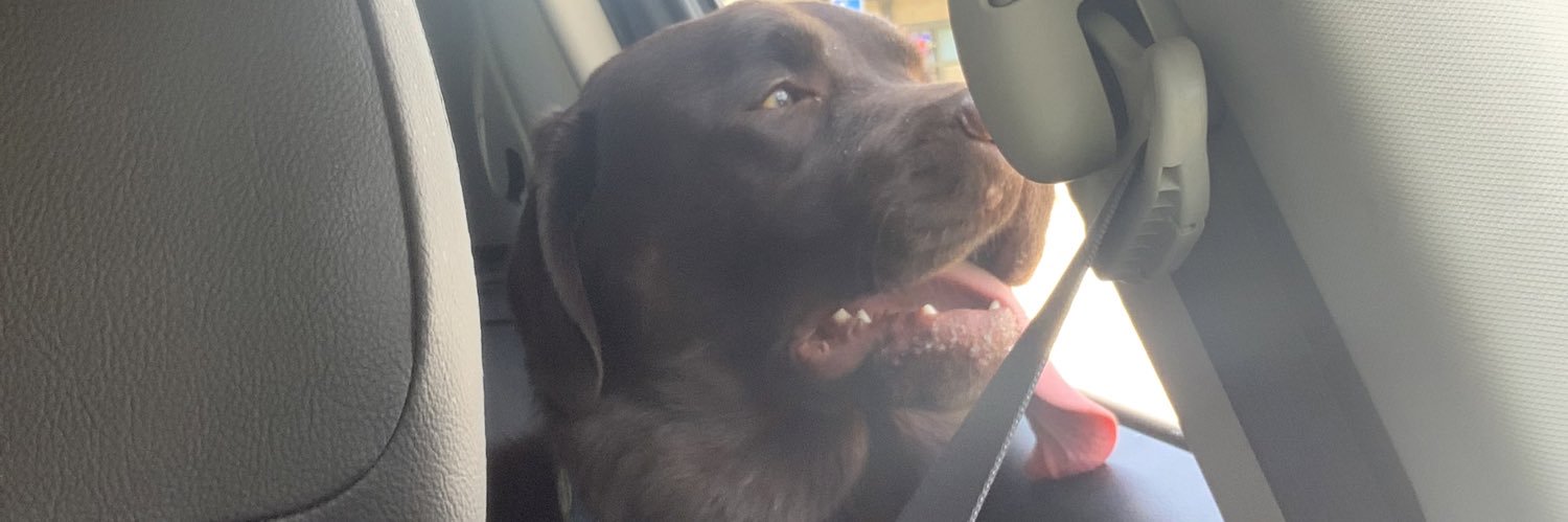 Steven Wujczyk banner