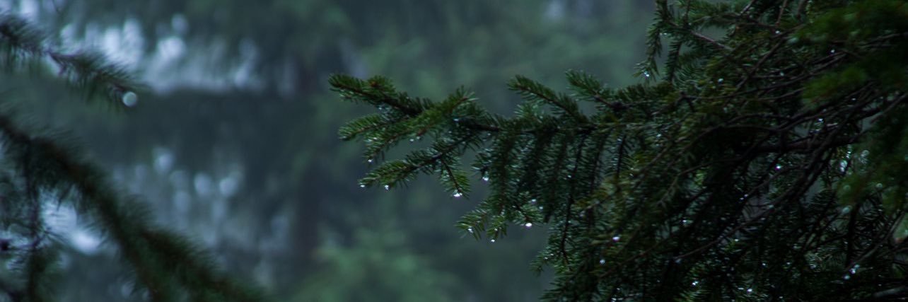 JacendaPerry's profile banner image