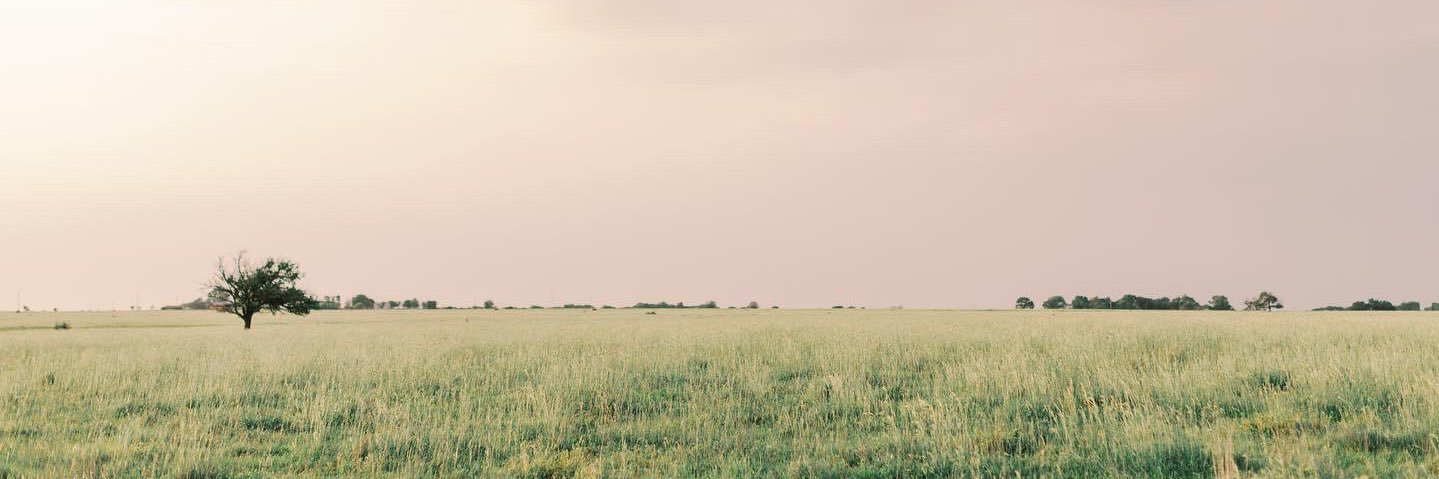 Taylor Gazda banner