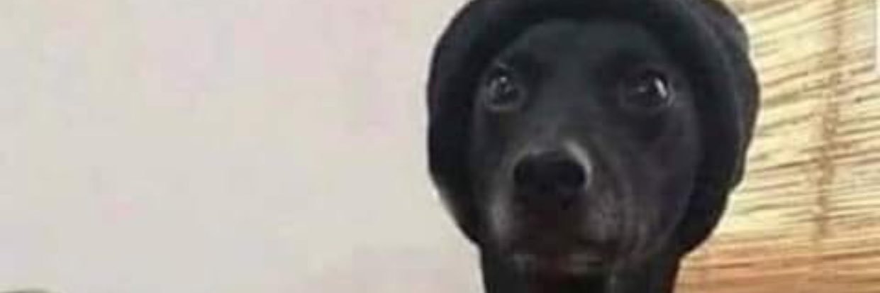 _sayyyslim's profile banner image