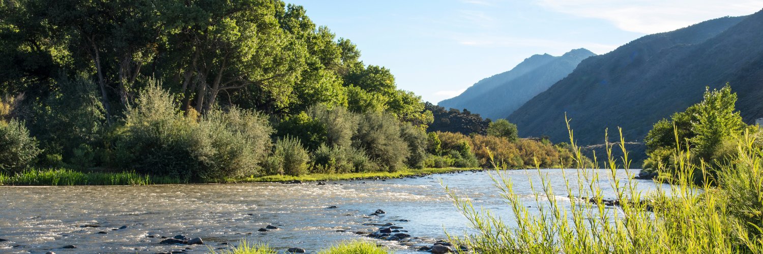 New Mexico Wild banner