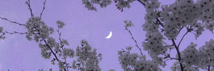 slowmoon_96's profile banner image