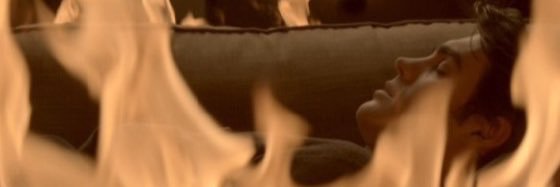 taraleo1996's profile banner image