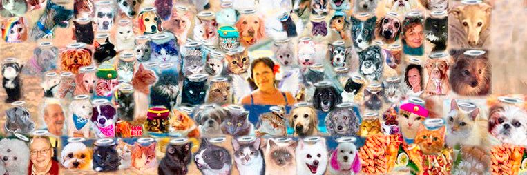 SweetSmokey's profile banner image