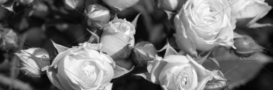 T_Cast27's profile banner image