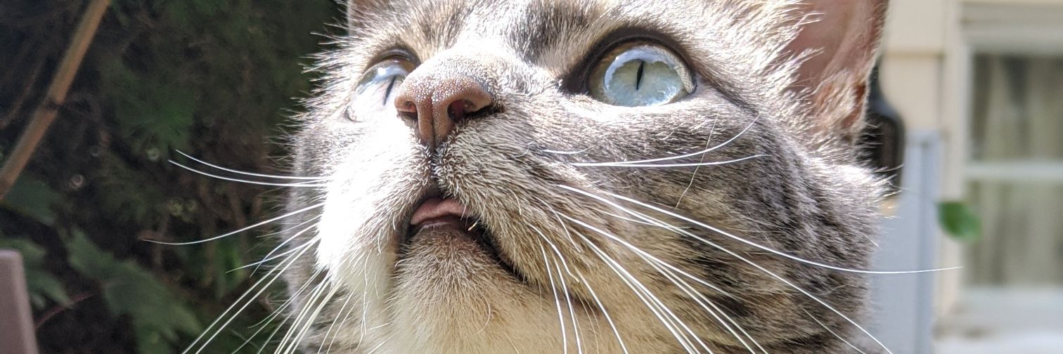 Zipti3's profile banner image