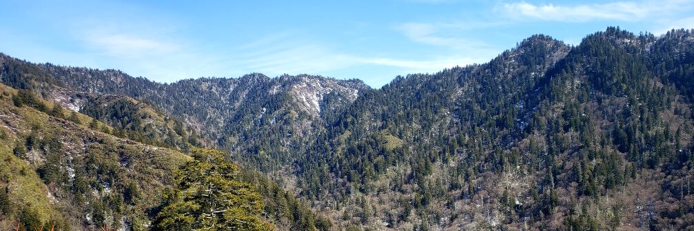 Alyssa Rose 🌹 banner