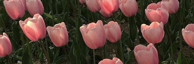 _faithz's profile banner image