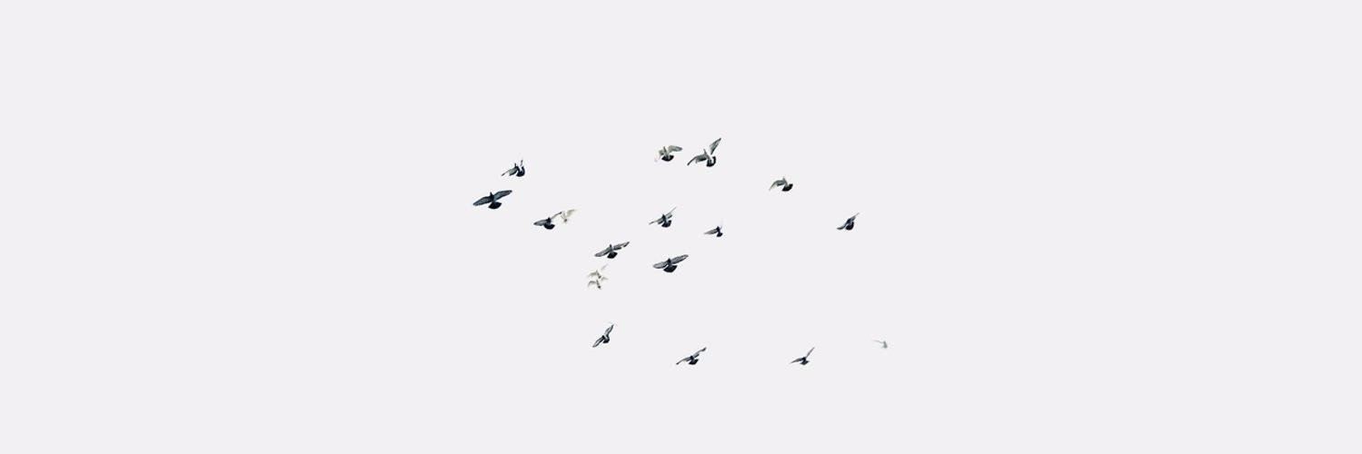 BF95MW's profile banner image