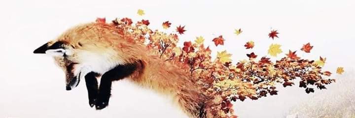 ChiChristianv's profile banner image