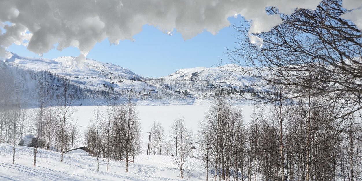 torstord's profile banner image