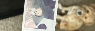 kxmryyn's profile banner image