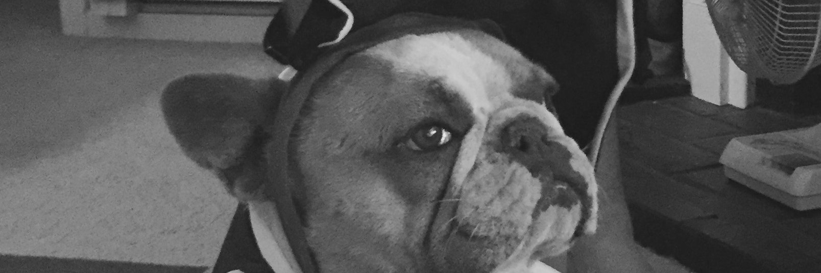 matt_martella's profile banner image