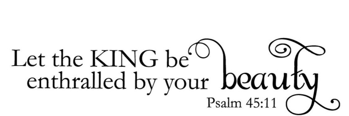 Bailey Toplean banner