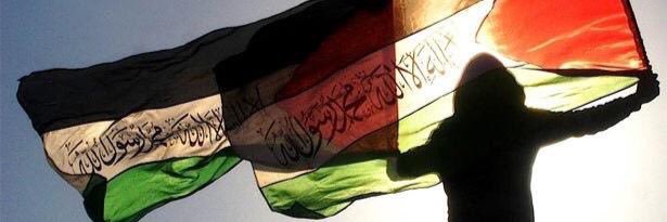 fazlibalkan81's profile banner image