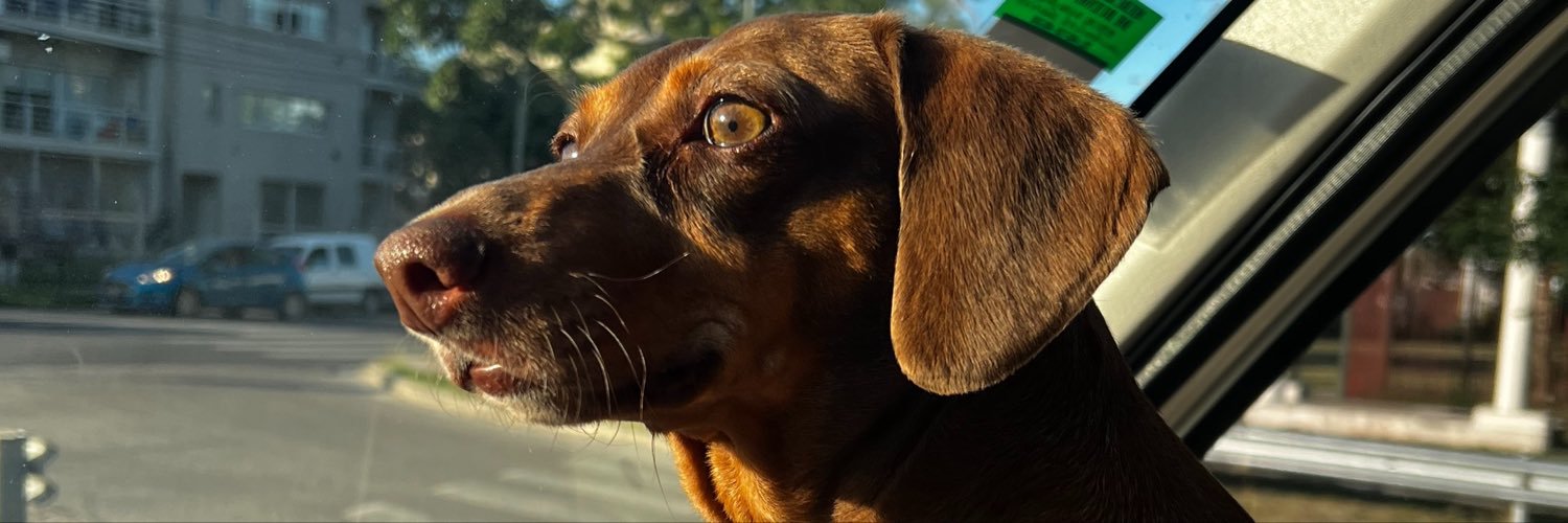 ivancapelli_'s profile banner image