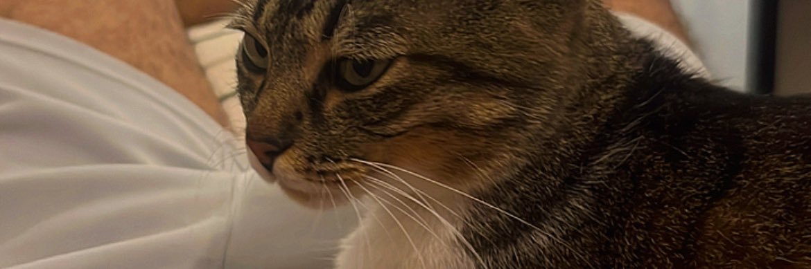 wenner__'s profile banner image