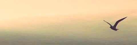 AlmasaAsma's profile banner image