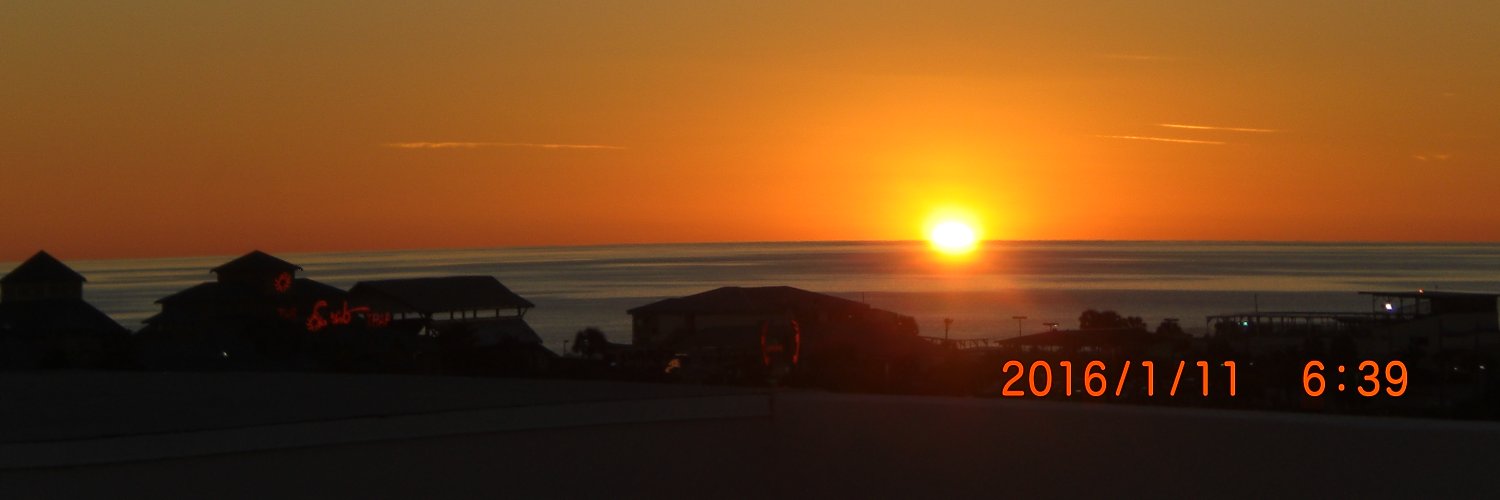 #Free Assange banner