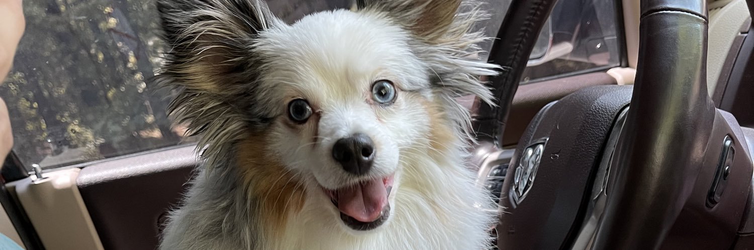 MashburnHayley's profile banner image