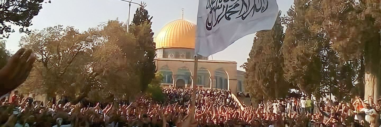 محمد المنيس banner