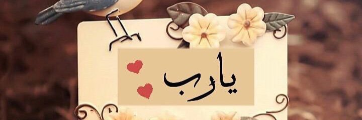 ahlam22146's profile banner image