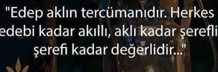 erdal banner
