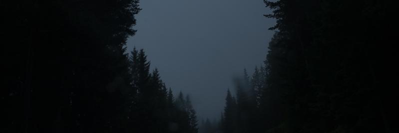 Forestdelica's profile banner image