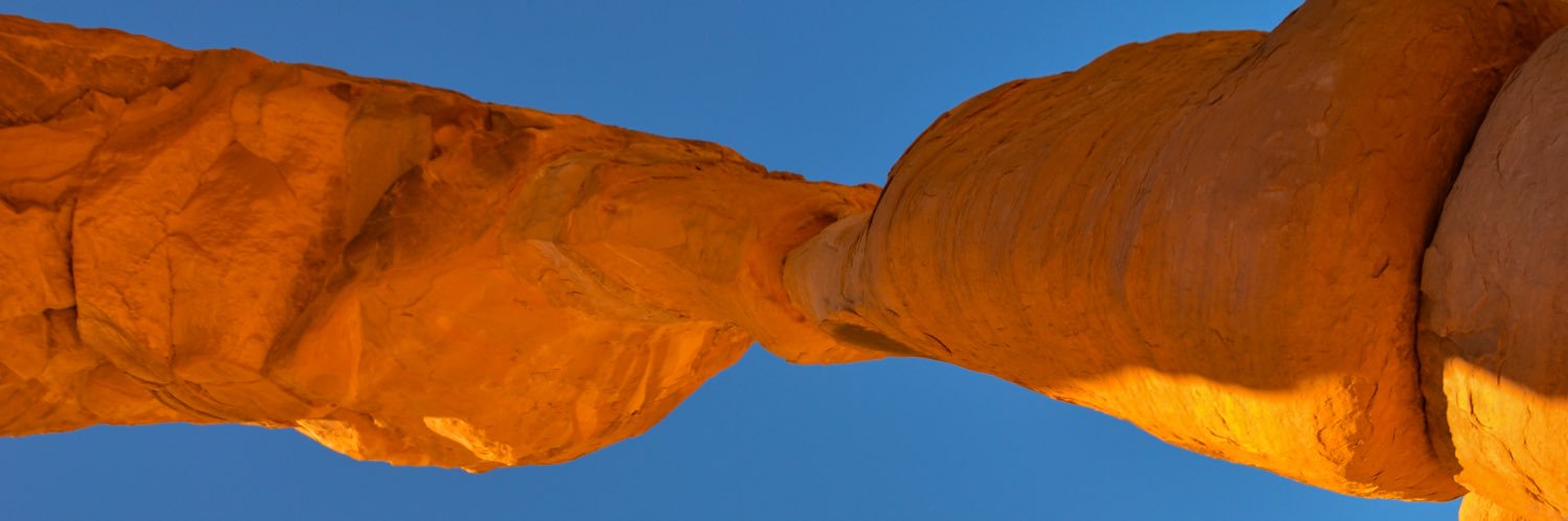 ptus_ptus's profile banner image