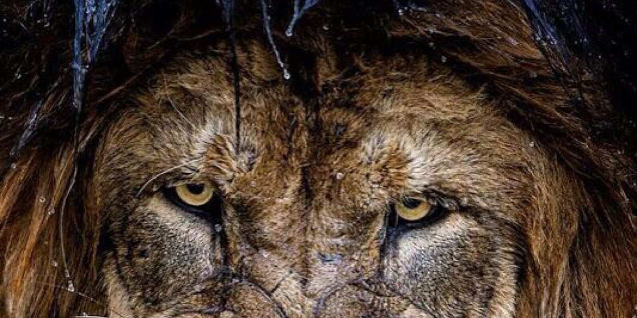 prozintokwe's profile banner image