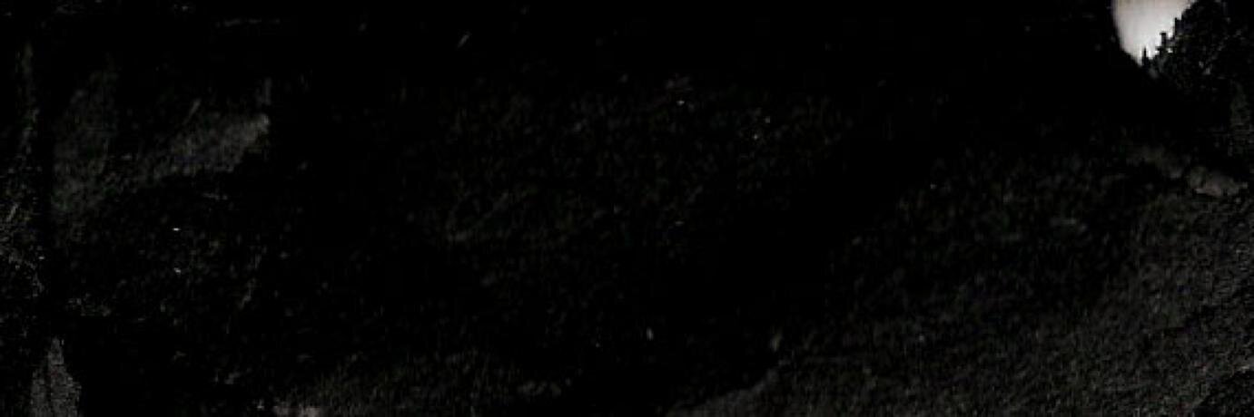 panfletonegro's profile banner image