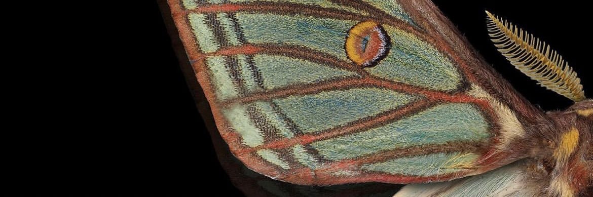 FeerDiAl's profile banner image