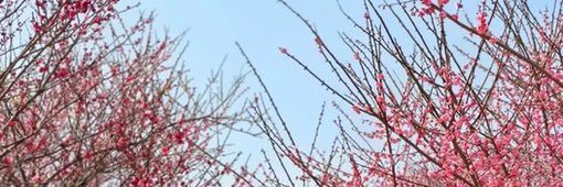 GardeaKim's profile banner image