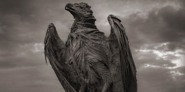 ManeganMaster's profile banner image