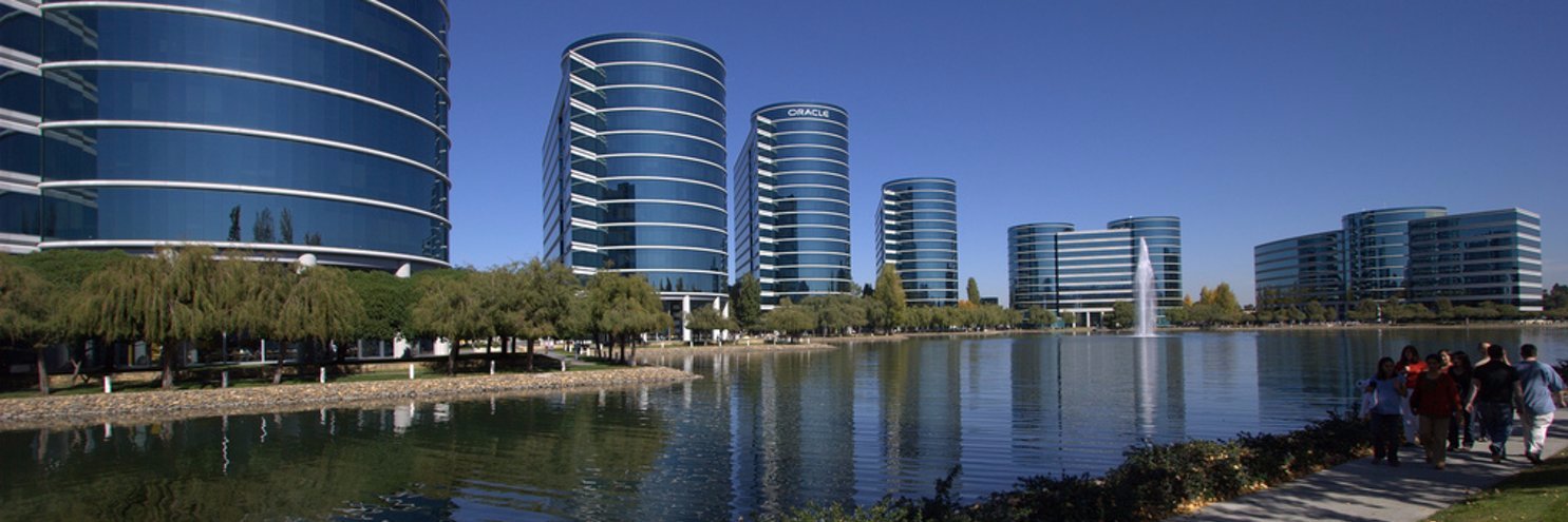 Oracle .NET Team ⭕ banner