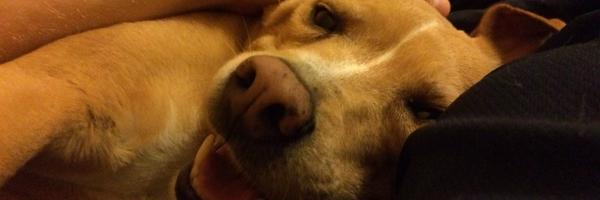 jonah_wendt Profile Banner