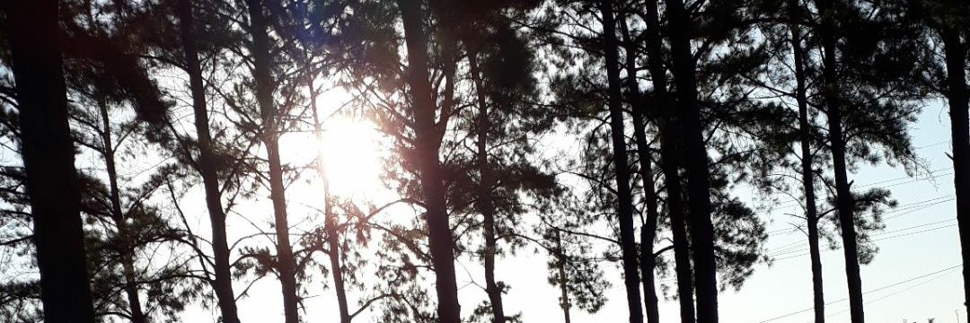 emanuel_fito's profile banner image