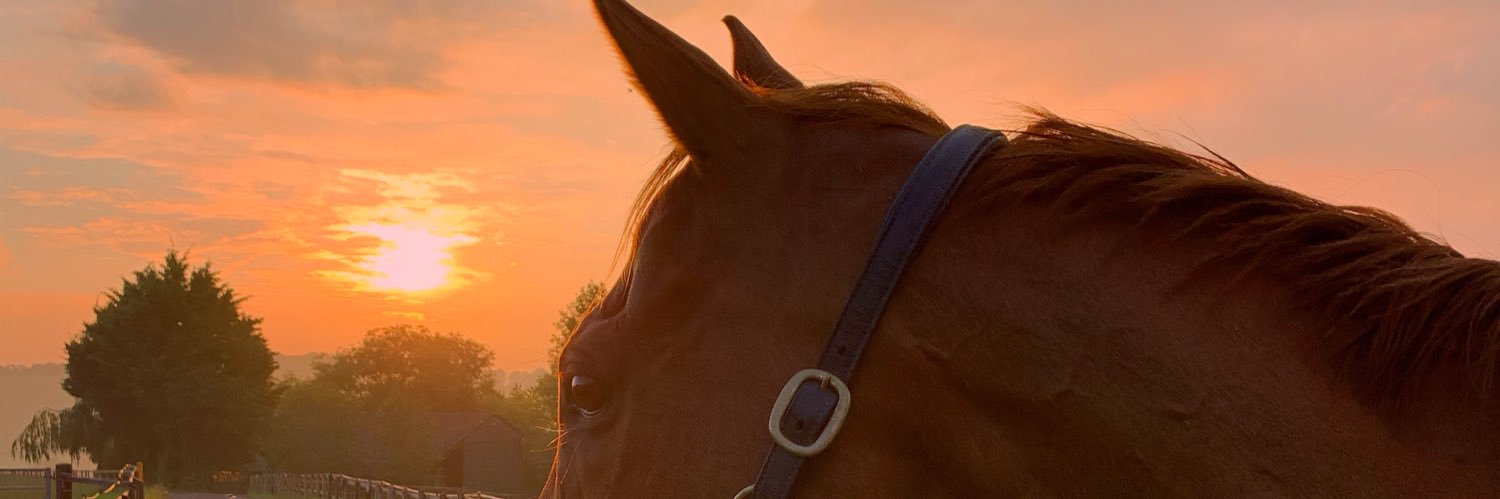 itslivs's profile banner image