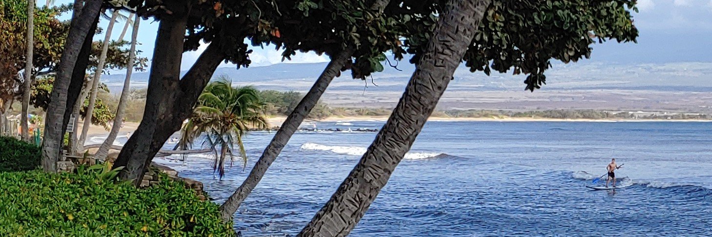 Mark Juergensmeyer banner