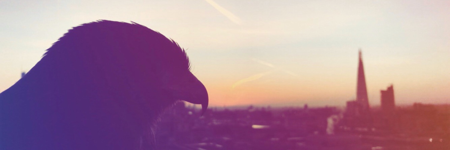citihawk's profile banner image