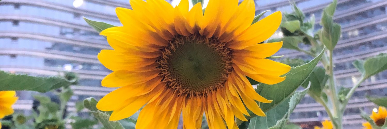 FrimaPN's profile banner image