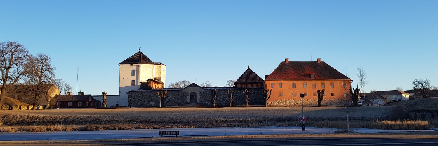 Hanna Larsson banner