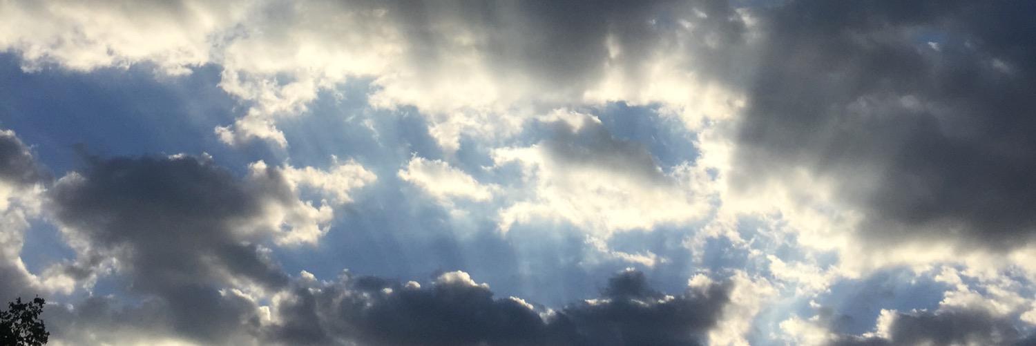 JoyJoybart's profile banner image