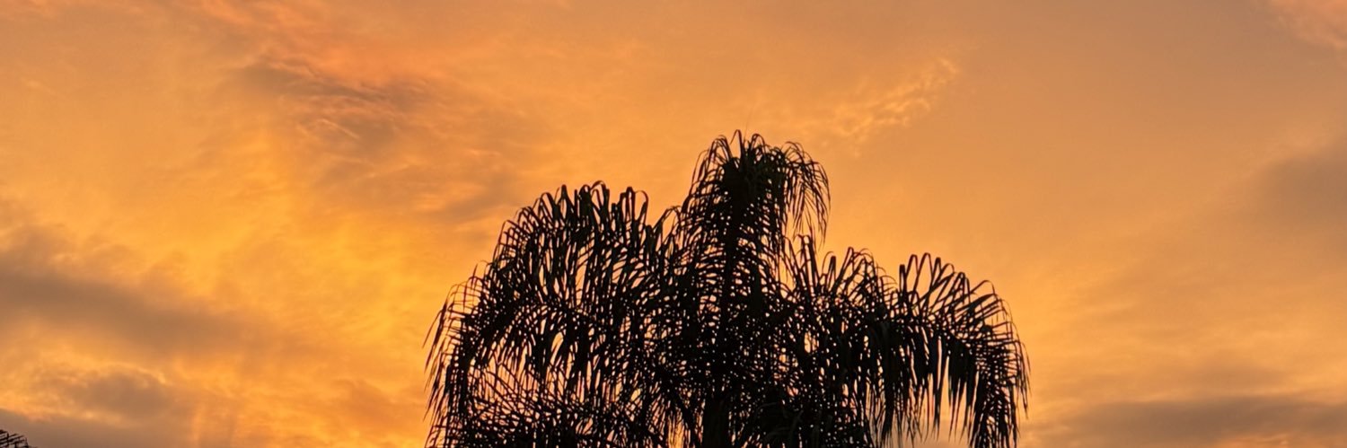 avilasaraa's profile banner image