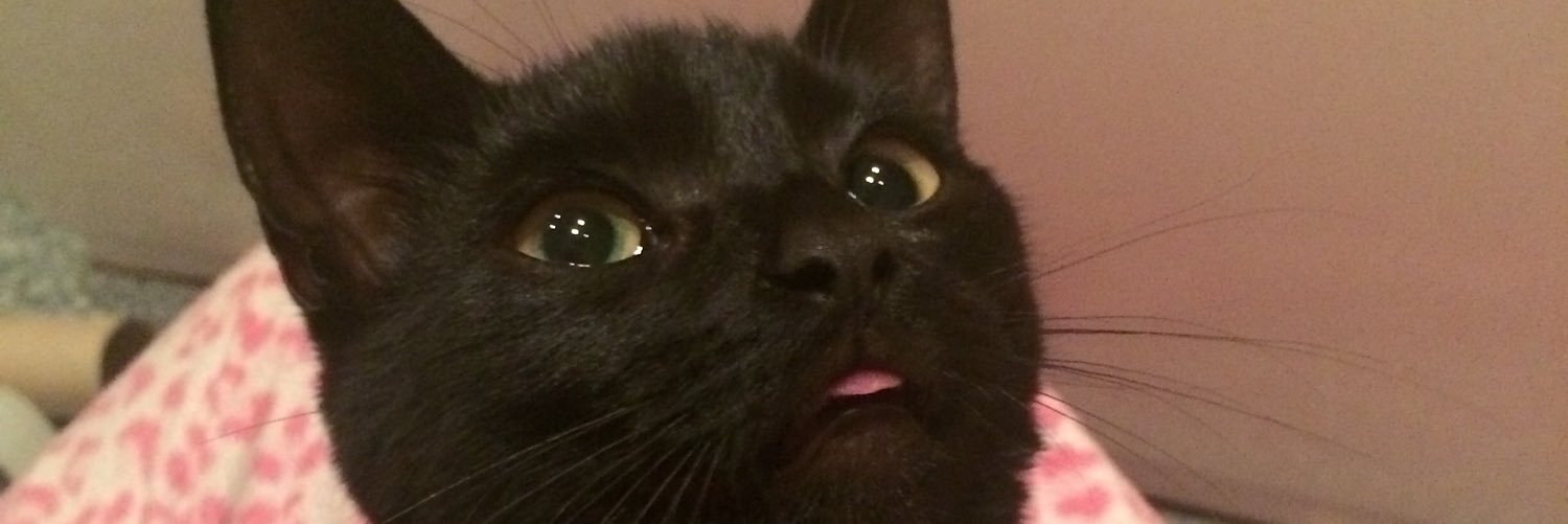 nat banner