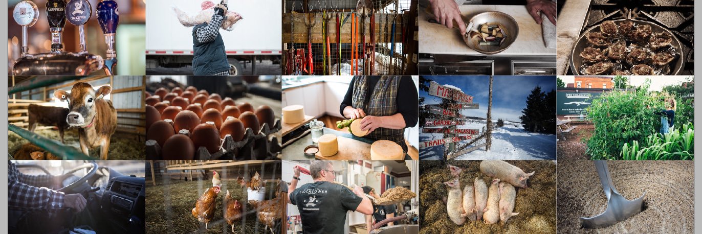 workingforfood's profile banner image