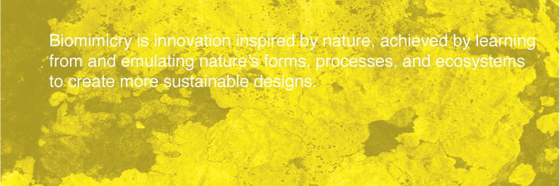 __human_nature's profile banner image