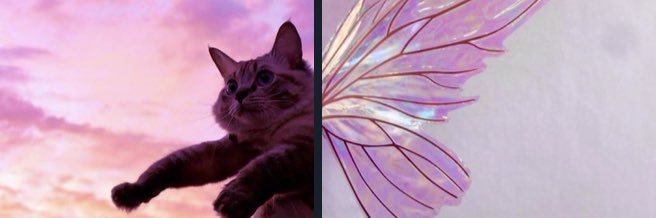 allie18z's profile banner image