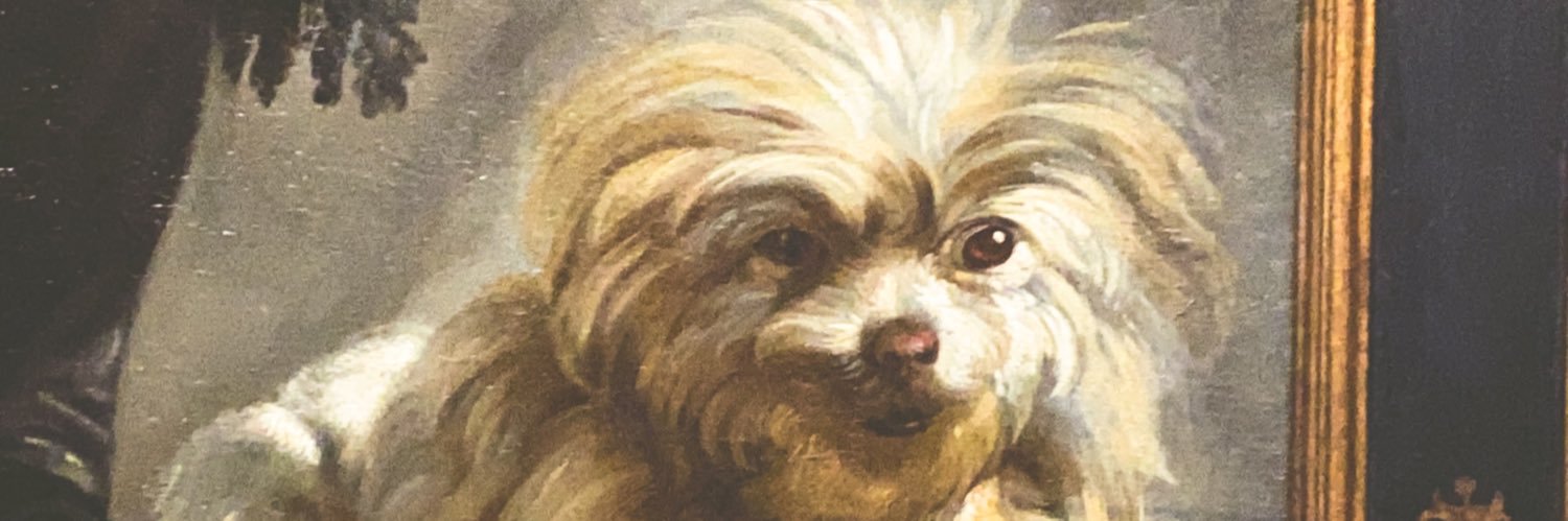 nd_r00's profile banner image