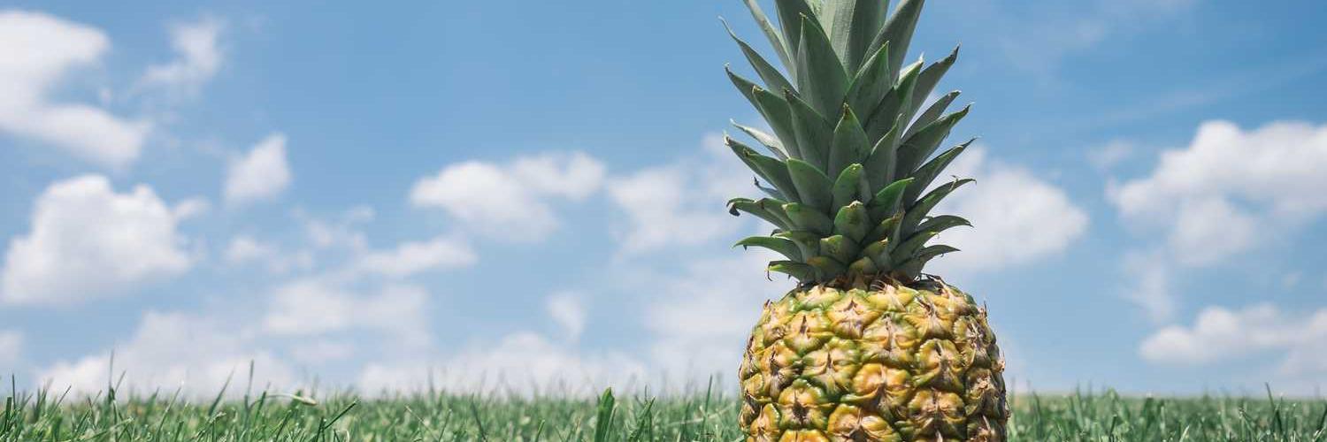 benedick_enco's profile banner image